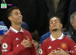 华体会登录入口-德甲转会网站