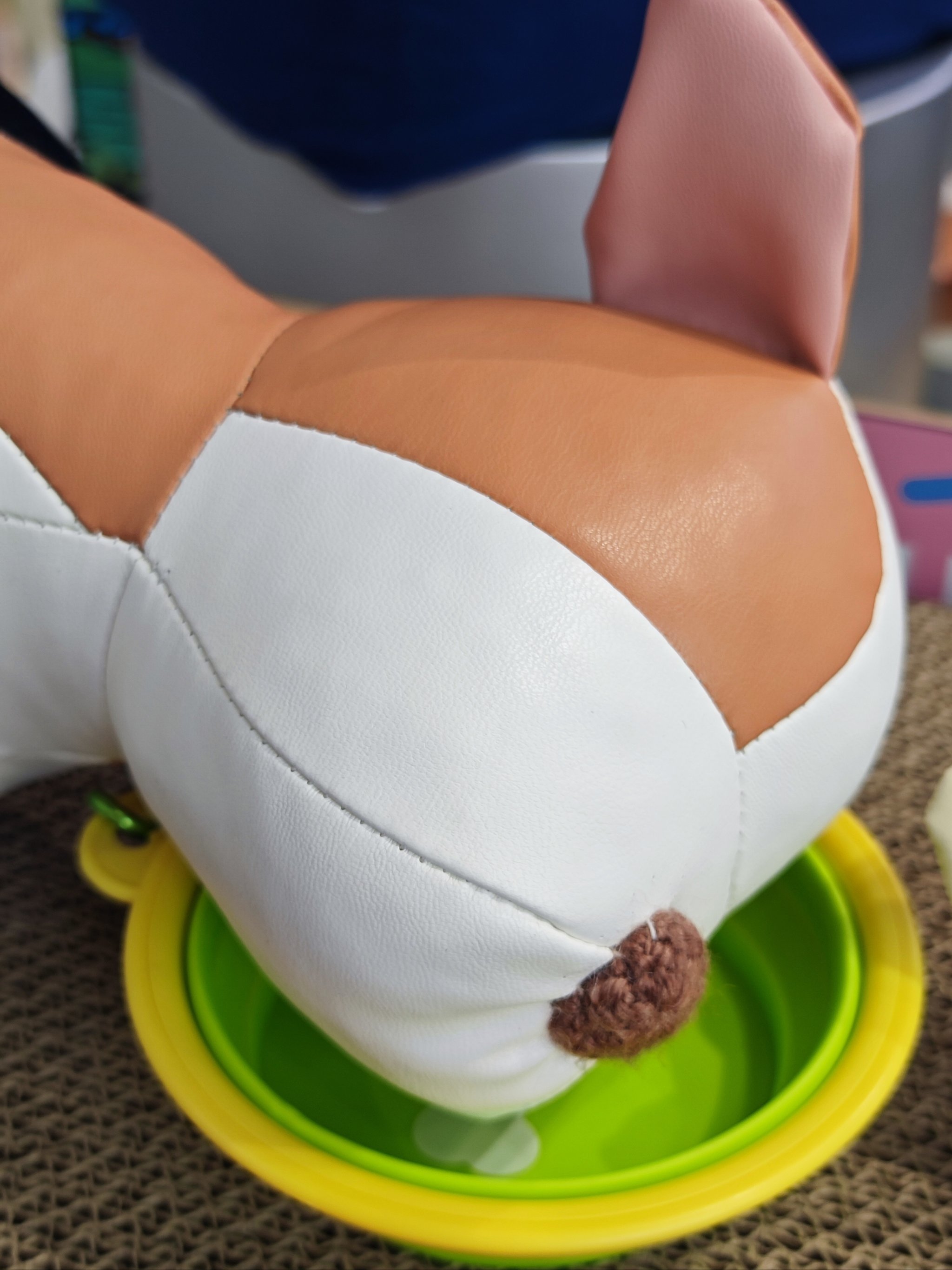 华体会网址-包含蛝y∥罧(Dr?臀r?栛蟷f;%6?孕O壳笙2鵖b?的词条